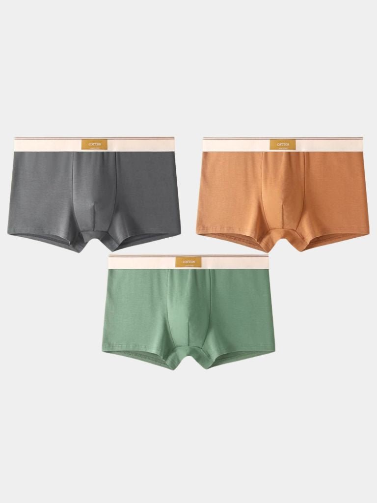 Savile Form Boxer Brief Set
