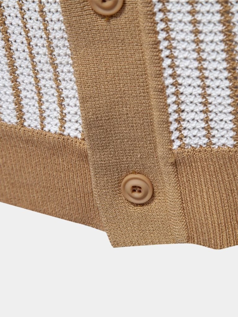 Striped Knit Polo Shirt